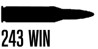 .243 Winchester