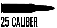 .25 Caliber
