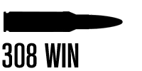 .308 Winchester
