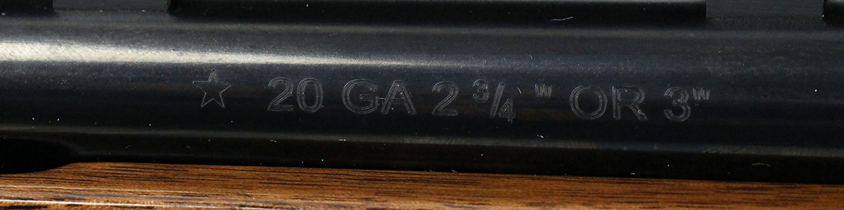Remington 11-87 Premier 20 Ga Shotgun - Collectible *Dale Earnhardt Commemorative* Remington 11-87 Premier 20 Ga Shotgun - Collectible *Dale Earnhardt Commemorative*
